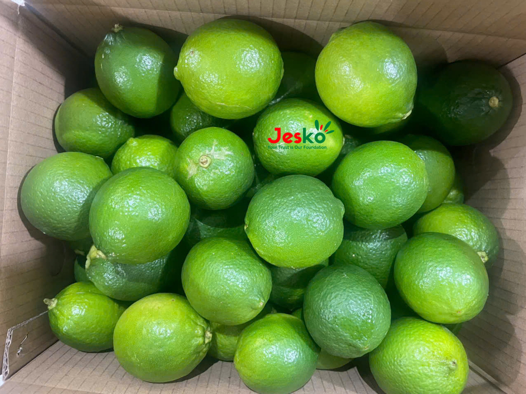 www.TheJesko.com